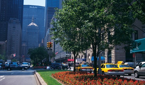 New-York-Office-2-507x300